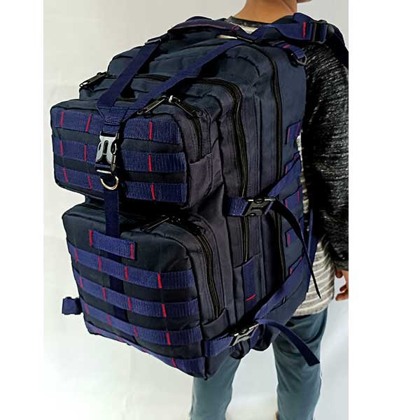 Backpack, travel bag with shoe chamber